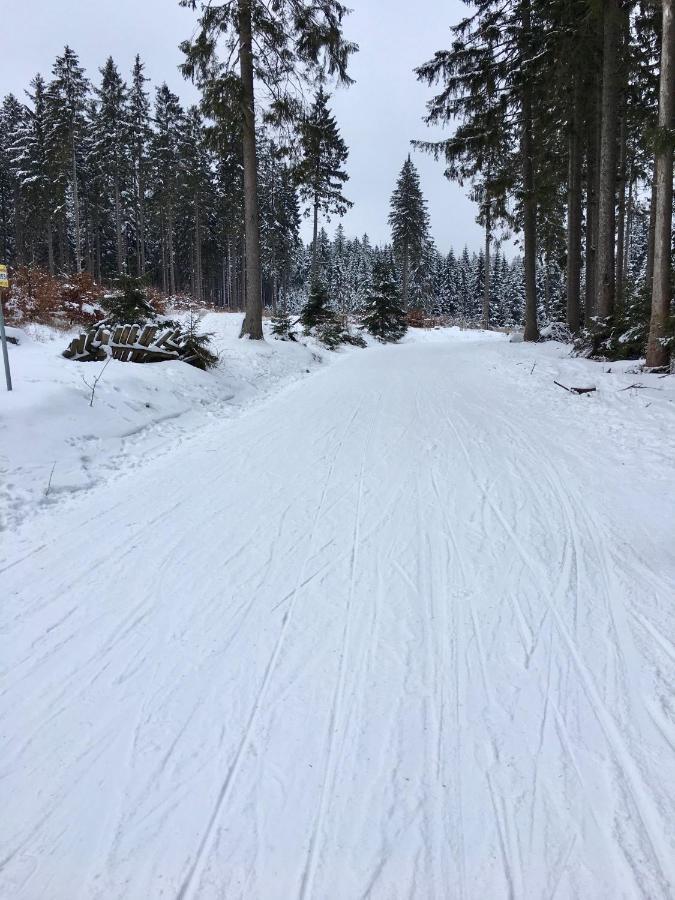 Fewo Harzromantik Браунлаге Екстер'єр фото